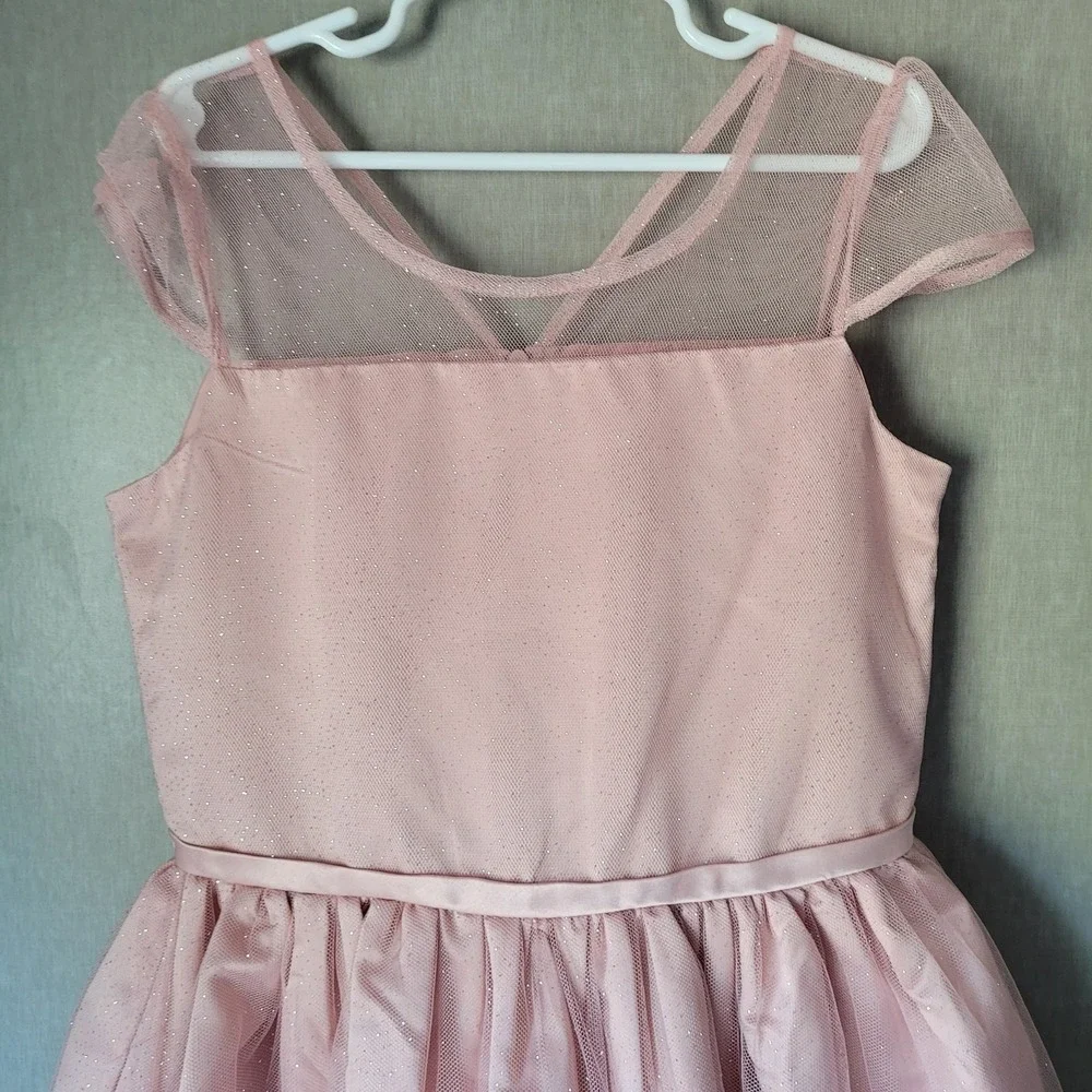 Nannette‎ Kids Girls Size 10 Dress Blush Pink 3D Rosette Tulle Formal Wedding